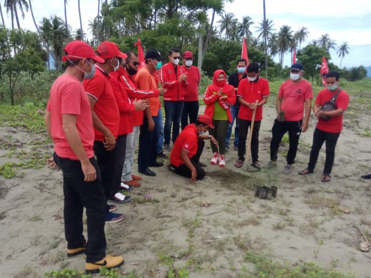 Ketua DPD PDI-P Muslahuddin Daud menanam Pohon secara simbolik yang didampingi pengurus DPD Aceh.  Foto : kontrasaceh.id